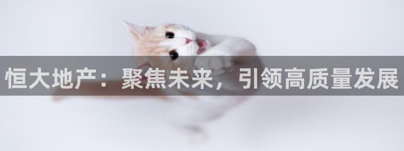 新宝5导师：恒大地产：聚焦未来，引领高质量发展