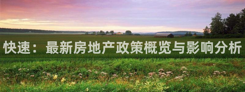 新宝5蒋74OOO5：快速：最新房地产政策概览与影响分析