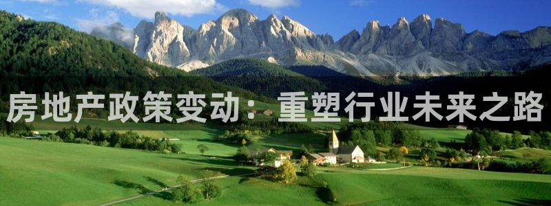 新宝5测速在线：房地产政策变动：重塑行业未来之路