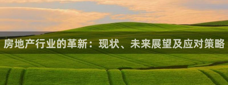 新宝5招商222111：房地产行业的革新：现状、未来展望及应