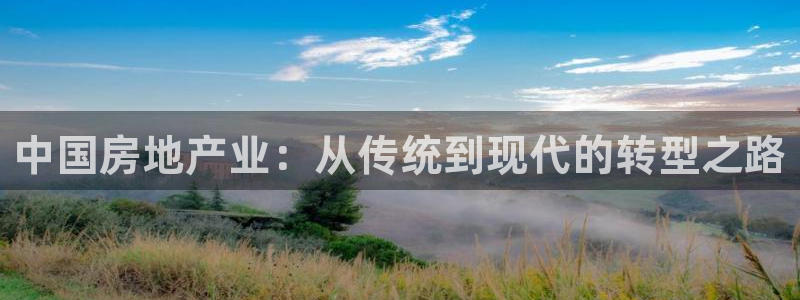 新宝5招商部：中国房地产业：从传统到现代的转型之路