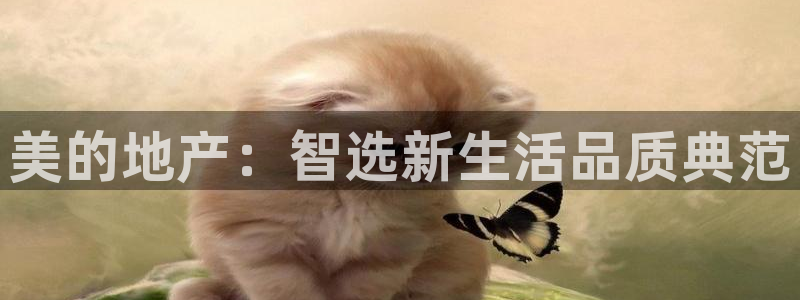 新宝5后：美的地产：智选新生活品质典范