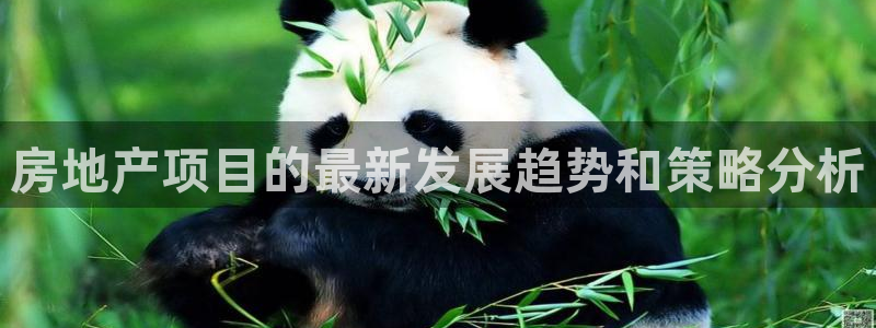 新宝奇迹GG5：房地产项目的最新发展趋势和策略分析