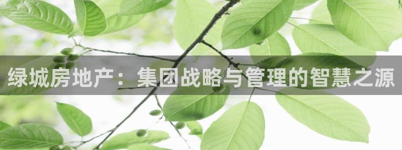新宝5户端：绿城房地产：集团战略与管理的智慧之源