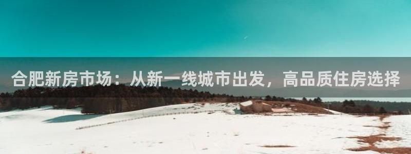 新宝5平台咋样：合肥新房市场：从新一线城市出发，高品质住房选