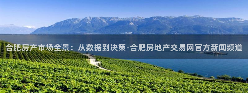 新宝5官网霸：合肥房产市场全景：从数据到决策-合肥房地产交易