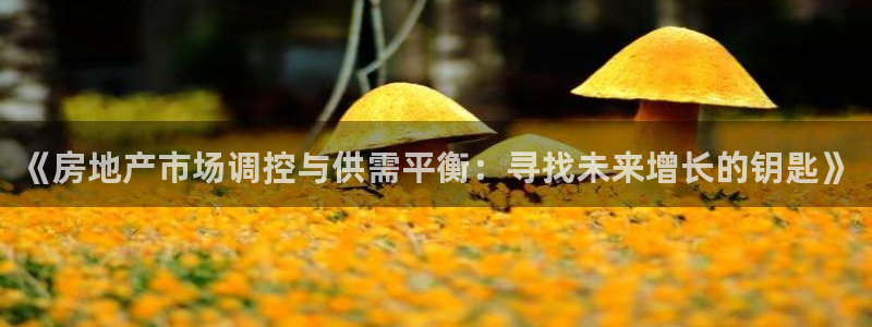新宝5日740005蔻：《房地产市场调控与供需平衡：寻找未来