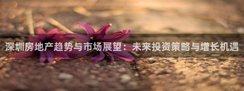 新宝_5：深圳房地产趋势与市场展望：未来投资策略与增长机遇