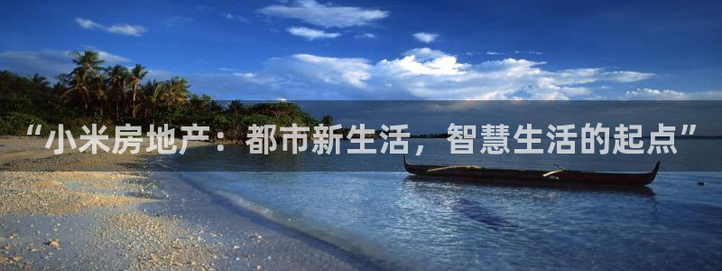 新宝5平台登录注册：“小米房地产：都市新生活，智慧生活的起点