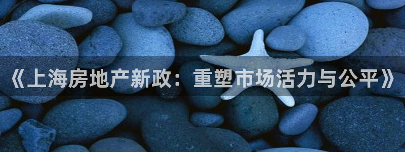 新宝5官方下载地址