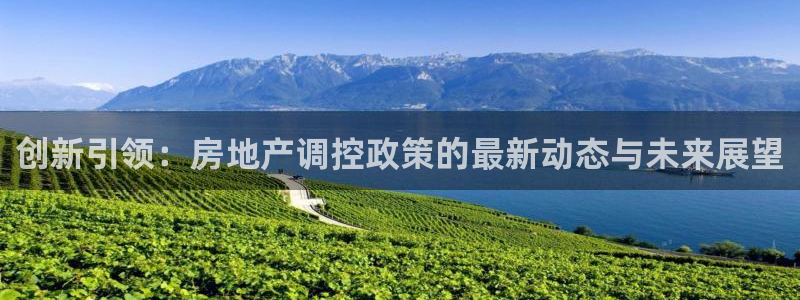 新宝5下载测试：创新引领：房地产调控政策的最新动态与未来展望