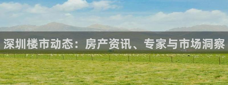 新宝5的网址：深圳楼市动态：房产资讯、专家与市场洞察