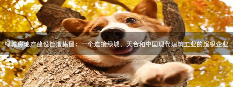 新宝5唯一：绿城房地产建设管理集团：一个连接绿城、天合和中国
