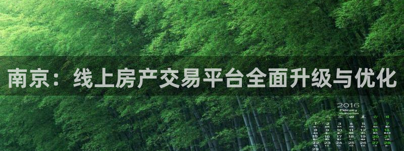 新宝5卫74OOO5：南京：线上房产交易平台全面升级与优化