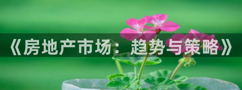 新宝5日谢29999：《房地产市场：趋势与策略》