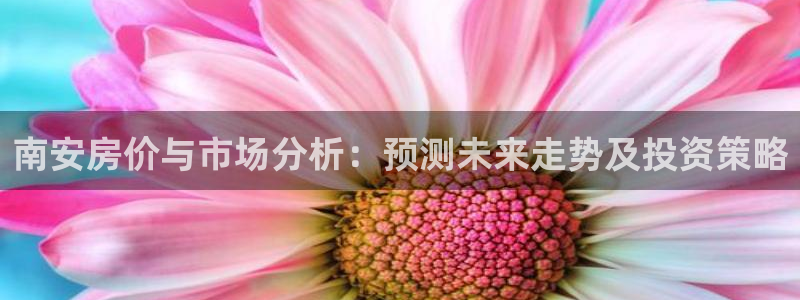 新宝5系列：南安房价与市场分析：预测未来走势及投资策略