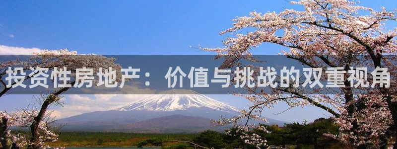 新宝5代理：投资性房地产：价值与挑战的双重视角