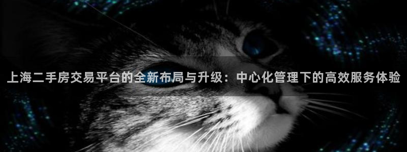 新宝5官网67五壹叁八：上海二手房交易平台的全新布局与升级：