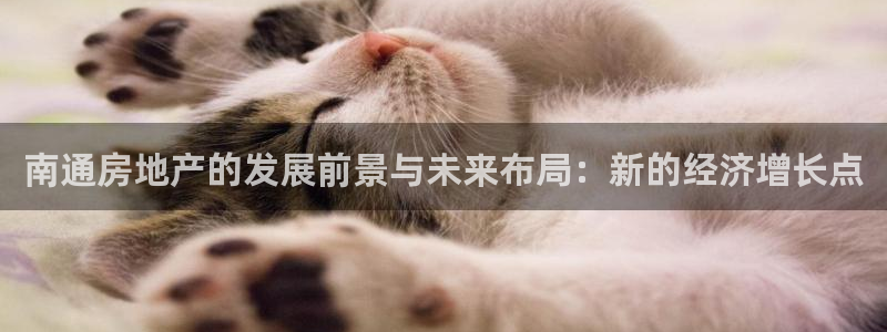 新宝5唯一：南通房地产的发展前景与未来布局：新的经济增长点