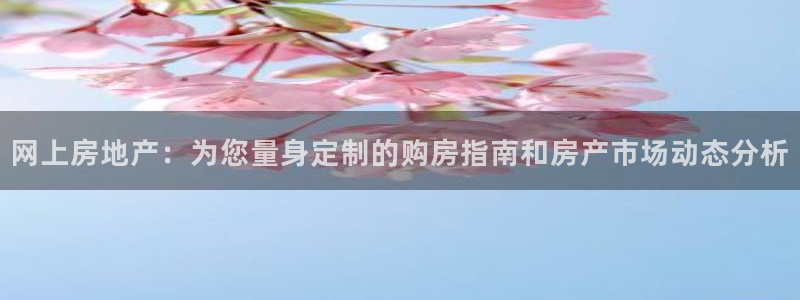 新宝5寻33 300球：网上房地产：为您量身定制的购房指南和
