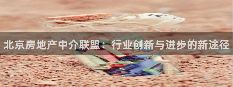 新宝测速5：北京房地产中介联盟：行业创新与进步的新途径