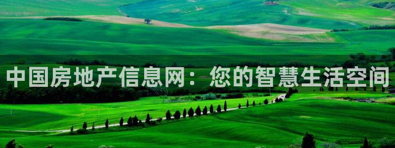 下载新宝5：中国房地产信息网：您的智慧生活空间