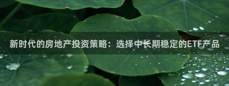 新宝5平棋牌：新时代的房地产投资策略：选择中长期稳定的ETF