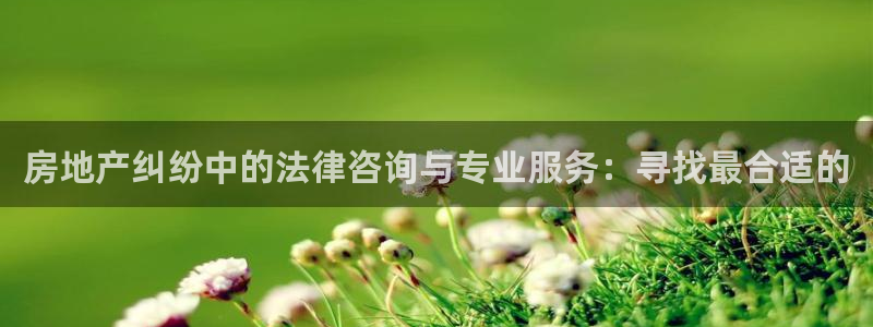 新宝堂新会陈皮5年：房地产纠纷中的法律咨询与专业服务：寻找最