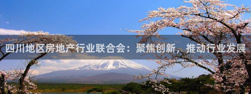 新宝5线路登录检测：四川地区房地产行业联合会：聚焦创新，推动