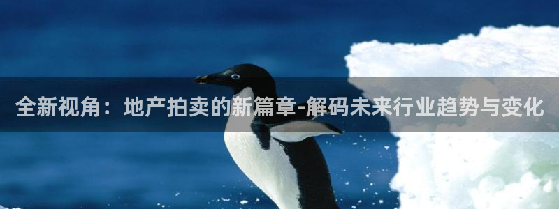 新宝5官网平台：全新视角：地产拍卖的新篇章-解码未来行业趋势