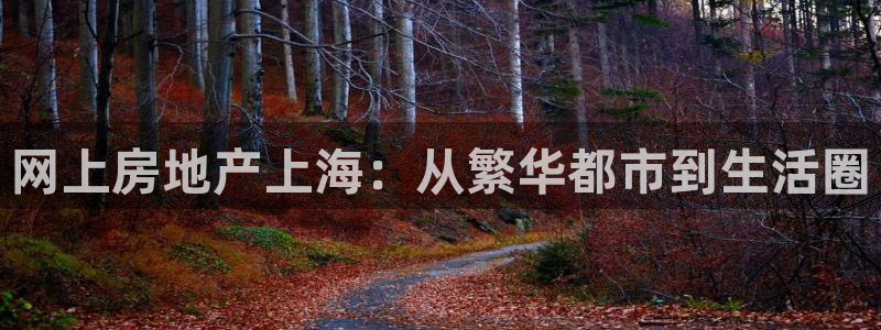 新宝5手机测速：网上房地产上海：从繁华都市到生活圈