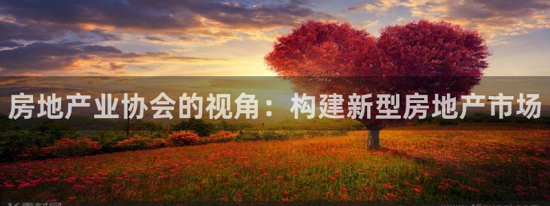 新宝5登录地址：房地产业协会的视角：构建新型房地产市场