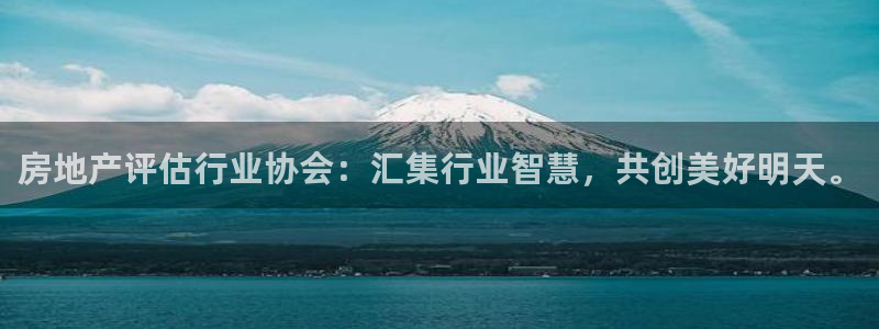 新宝5户端：房地产评估行业协会：汇集行业智慧，共创美好明天。