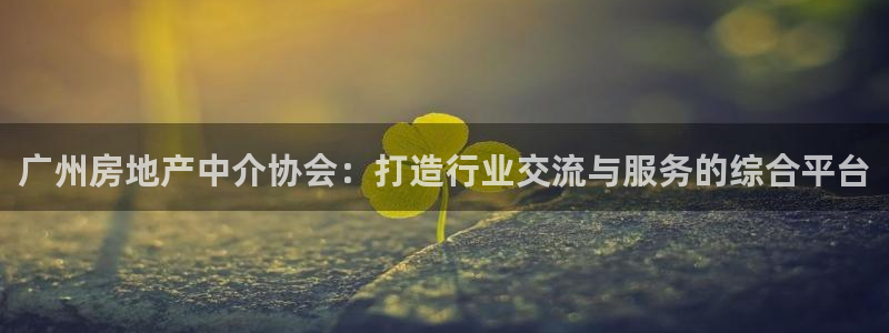 新宝5浗维33 300：广州房地产中介协会：打造行业交流与服