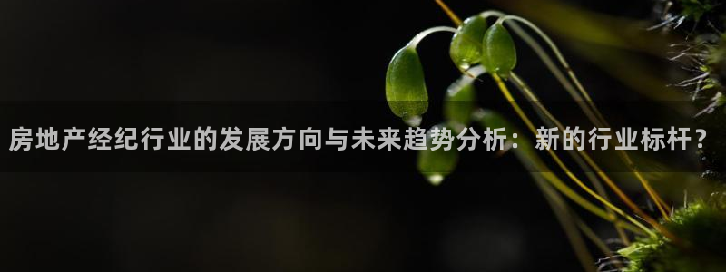 新宝5注册测速登录：房地产经纪行业的发展方向与未来趋势分析：