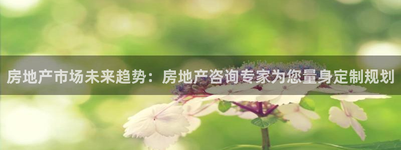 新宝5官网：房地产市场未来趋势：房地产咨询专家为您量身定制规