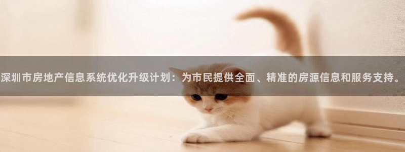 新宝rc_5w：深圳市房地产信息系统优化升级计划：为市民提供