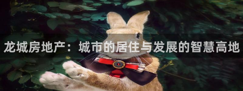 新宝5新宝6顺达：龙城房地产：城市的居住与发展的智慧高地