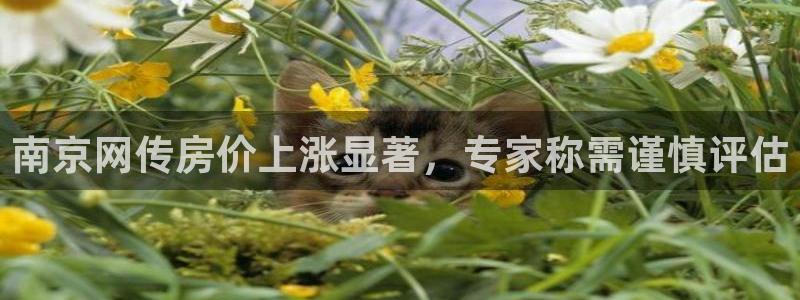 新宝xb5：南京网传房价上涨显著，专家称需谨慎评估