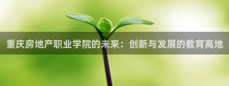 新宝5主管：重庆房地产职业学院的未来：创新与发展的教育高地