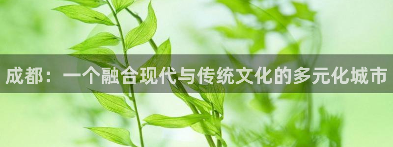 新宝5手机版：成都：一个融合现代与传统文化的多元化城市