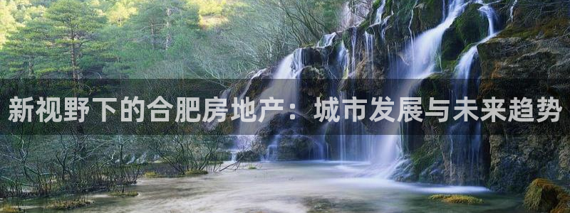 新宝5测：新视野下的合肥房地产：城市发展与未来趋势