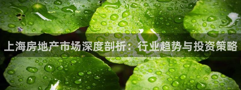新宝5-测速：上海房地产市场深度剖析：行业趋势与投资策略